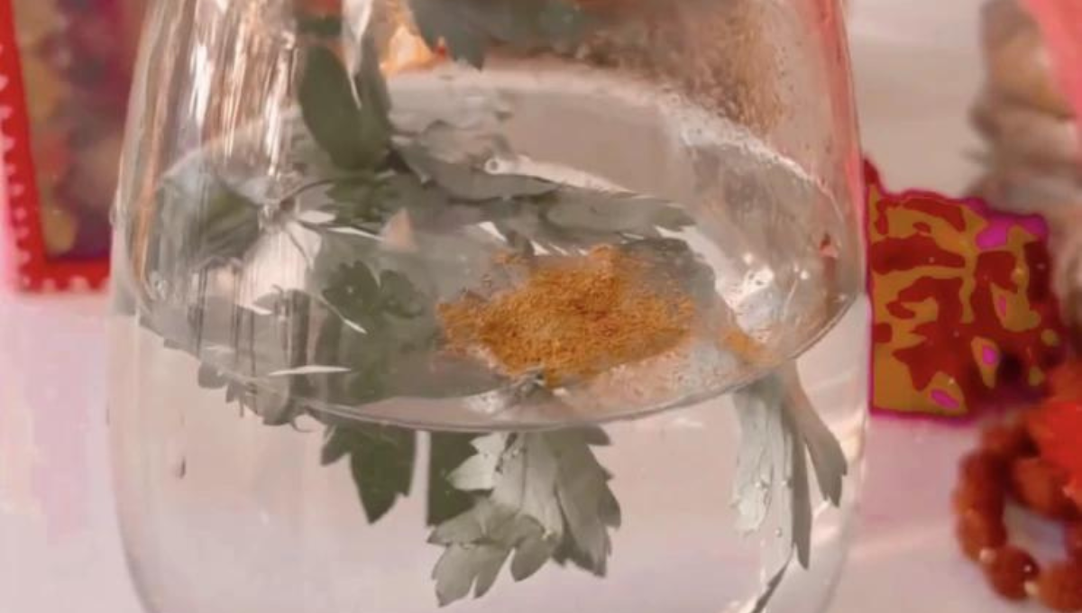 Por qué poner perejil y canela en un vaso de agua: el infalible ritual del Feng Shui