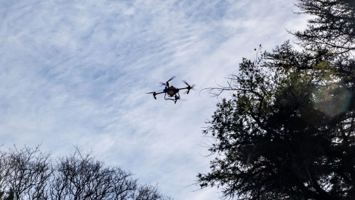 El novedoso método que implementó la Municipalidad de Ciudad para la pulverización del arbolado público con drones.