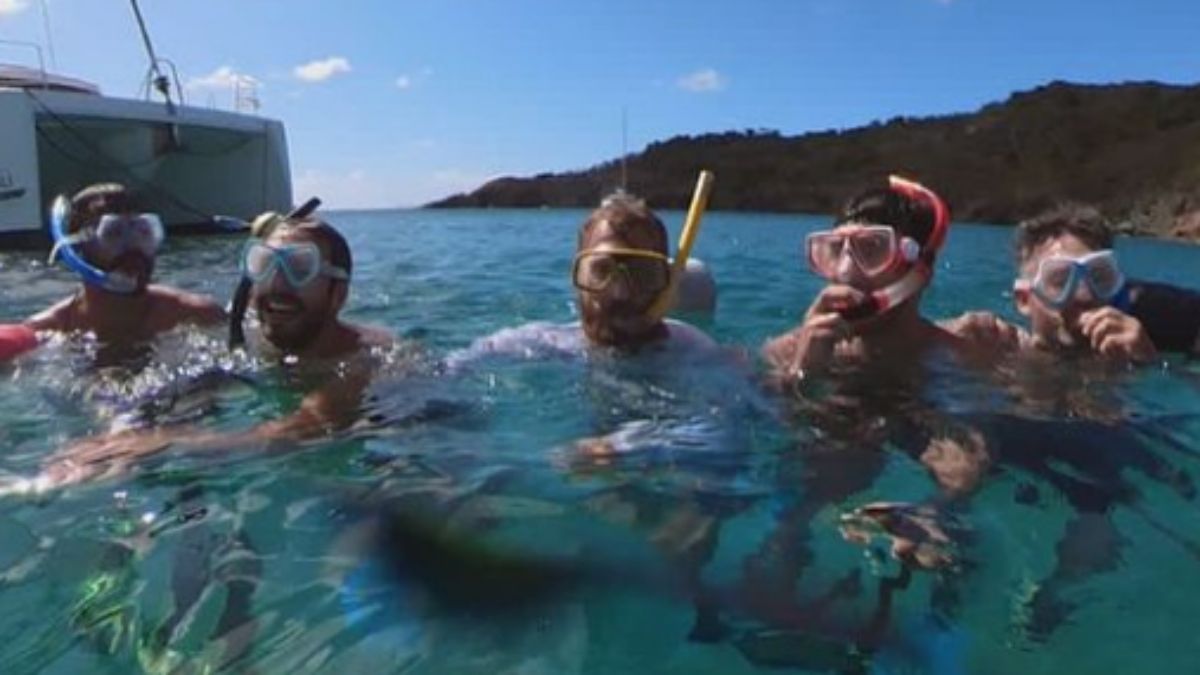 El comienzo del periplo oceánico fue en las Antillas, donde se adaptaron para dar el salto oceánico rumbo a España.