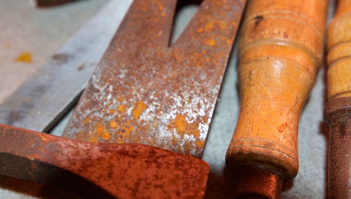 La humedad es el peor enemigo del acero. Evita el agua y los espacios sin ventilación al momento de almacenar tus herramientas. La humedad es el peor enemigo del acero. Evita el agua y los espacios sin ventilación al momento de almacenar tus herramientas.