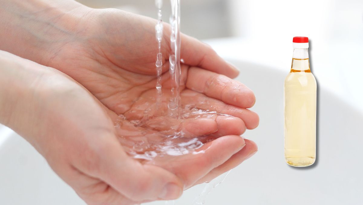 Este truco con vinagre también sirve para eliminar el olor a cebolla y ajo. Este truco con vinagre también sirve para eliminar el olor a cebolla y ajo.