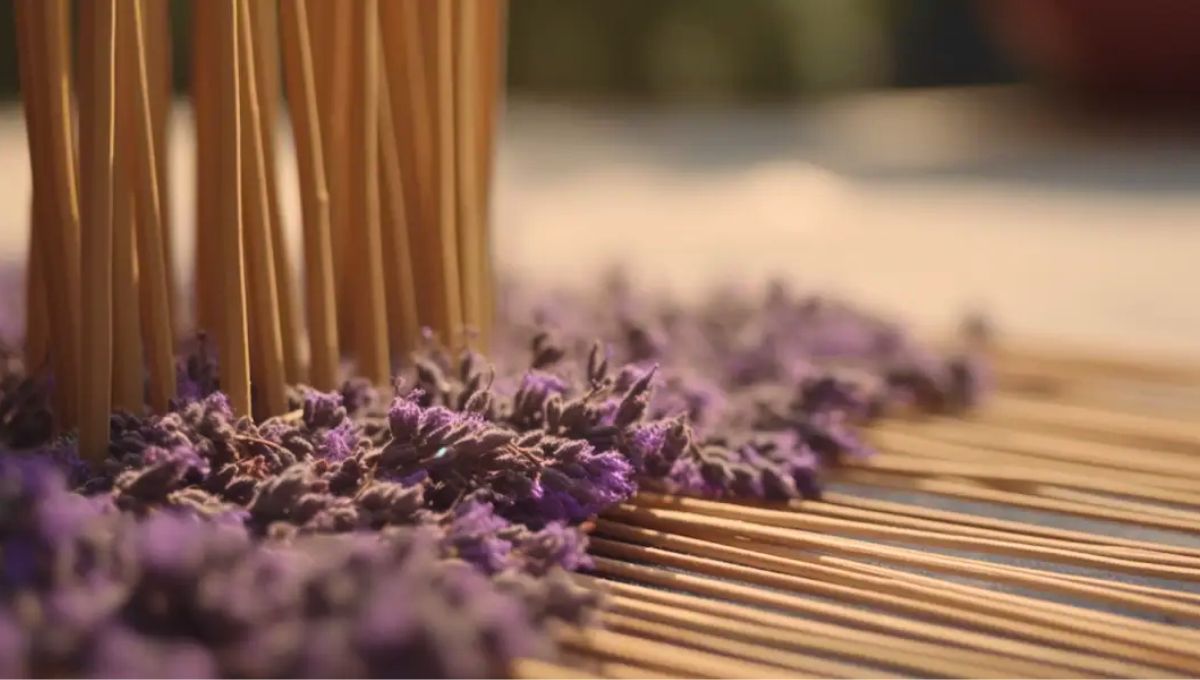 Las flores de lavanda secas conservan su aroma hasta dos años en frascos herméticos y son ideales para hacer sahumerios. Las flores de lavanda secas conservan su aroma hasta dos años en frascos herméticos y son ideales para hacer sahumerios.