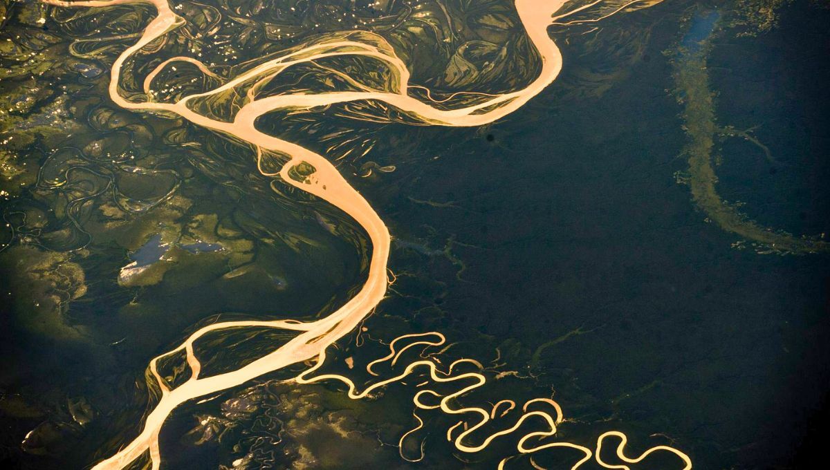 Río Amazonas: ¿cómo es posible que ningún puente cruce el río más largo que existe? Fuente: National Geographic