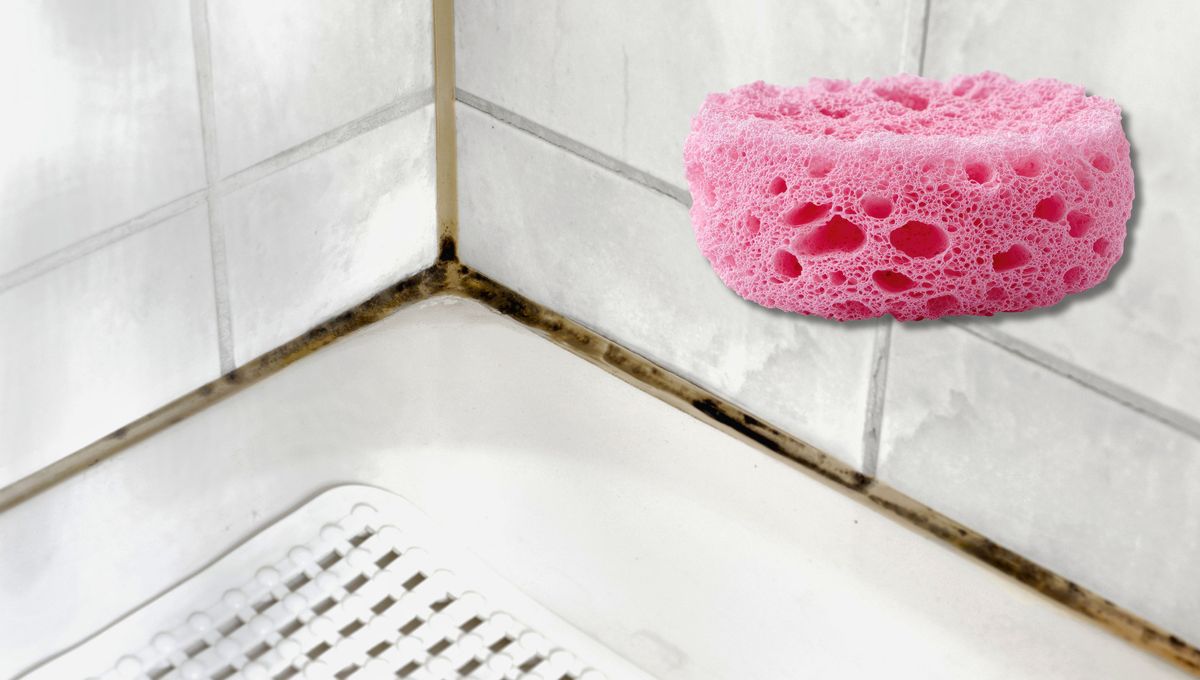Las esponjas del baño juntan humedad y todo tipo de microorganismos. Las esponjas del baño juntan humedad y todo tipo de microorganismos. 