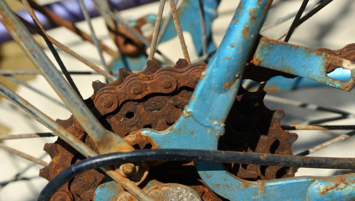 La cadena es una de las partes más importantes de la bicicleta. La cadena es una de las partes más importantes de la bicicleta.