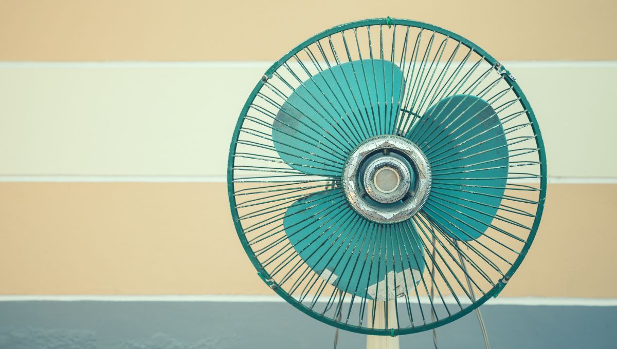 Si tienes un ventilador que ya no funciona, aprende a reciclarlo con esta original idea. Si tienes un ventilador que ya no funciona, aprende a reciclarlo con esta original idea.