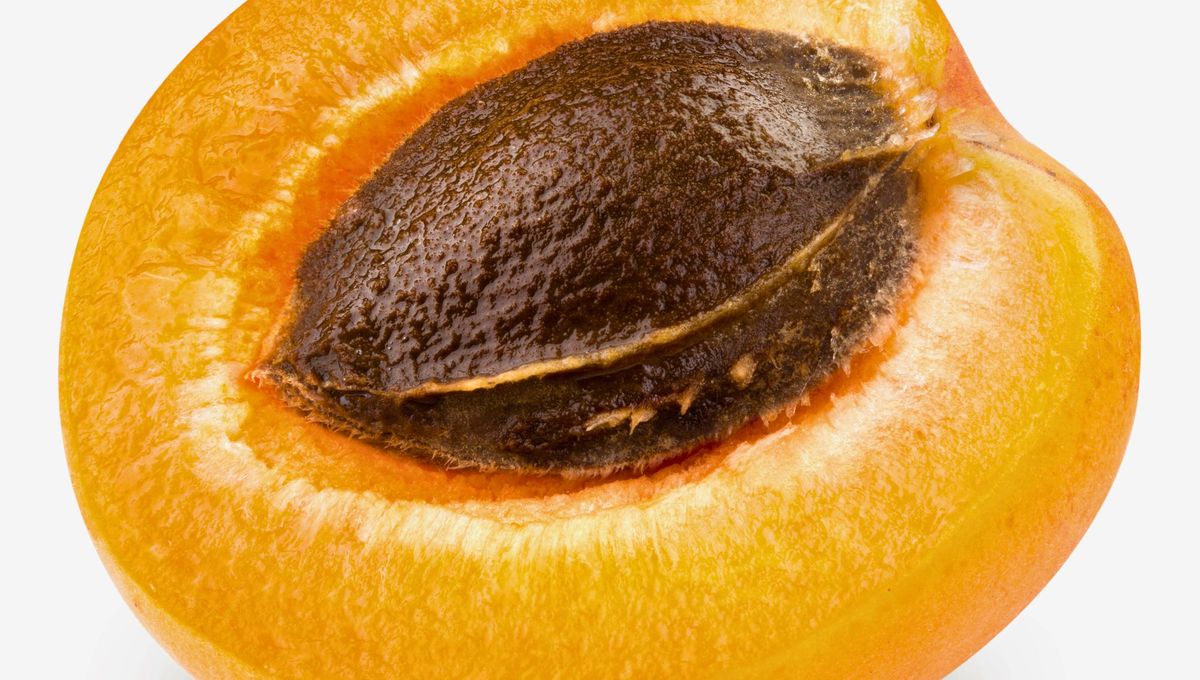 Los carozos de damasco tienen varios usos m&aacute;s all&aacute; de tirarlos a la basura.