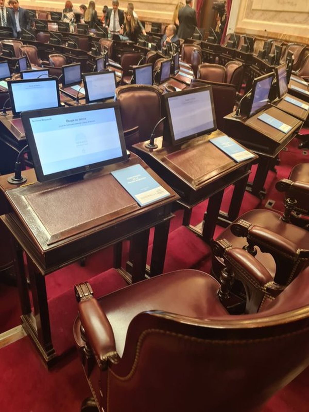 El Senado sesionó el miércoles sin la presencia de la oposición. Esta foto la publicó Mariana Twitter en redes sociales.