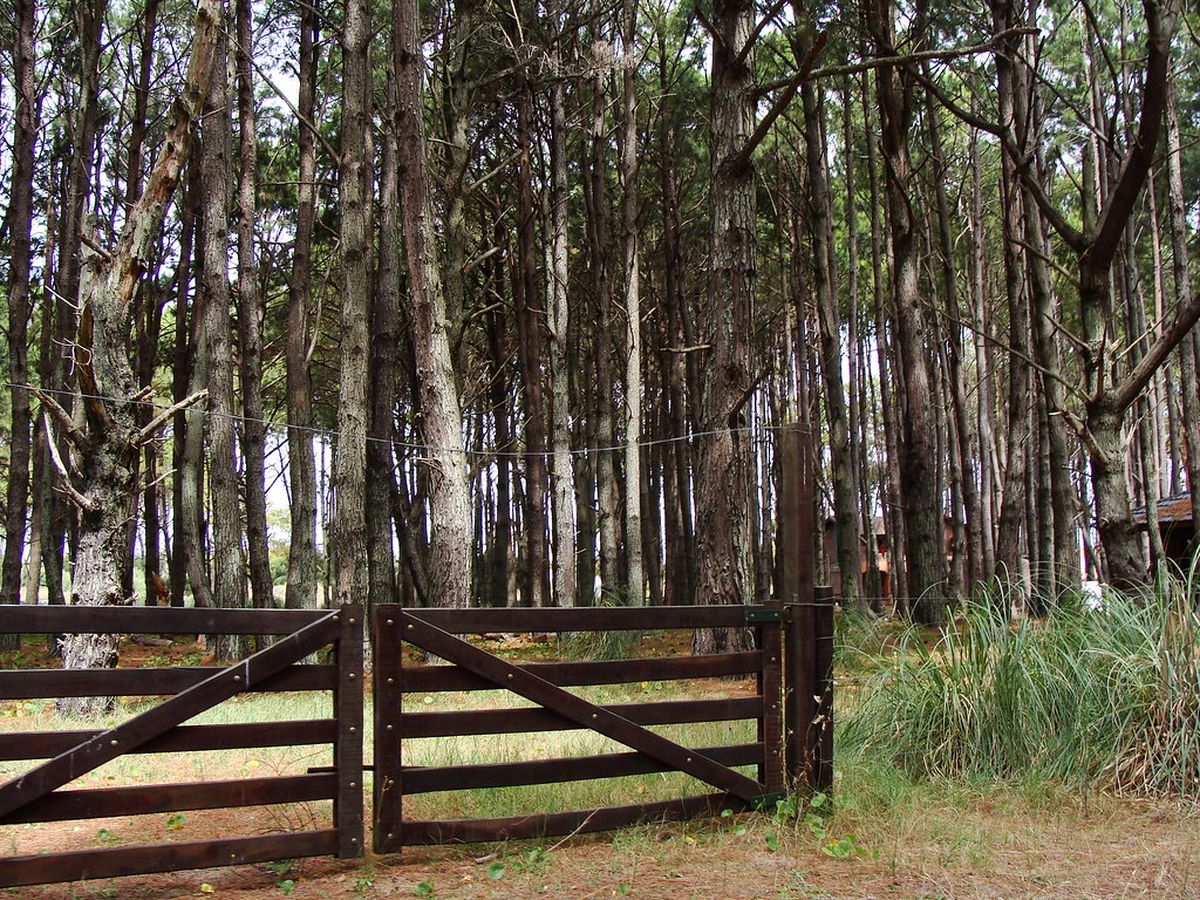 El Pinar de La Lucila del Mar se encuentra en el límite con la localidad de Aguas Verdes; una zona inmersa en un bosque de pinos.  El Pinar de La Lucila del Mar se encuentra en el límite con la localidad de Aguas Verdes; una zona inmersa en un bosque de pinos. 