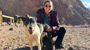 Estuvo cuadripléjica, volvió a caminar y hoy cumple su sueño de trabajar en el Aconcagua Estuvo cuadripléjica, volvió a caminar y hoy cumple su sueño de trabajar en el Aconcagua