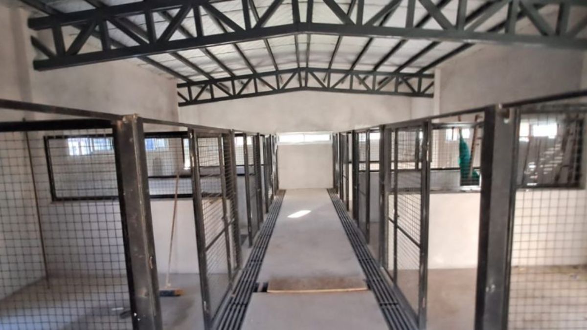 Vista del interior de uno de los cuerpos que conforman el hospital veterinario sanrafaelino. Vista del interior de uno de los cuerpos que conforman el hospital veterinario sanrafaelino.