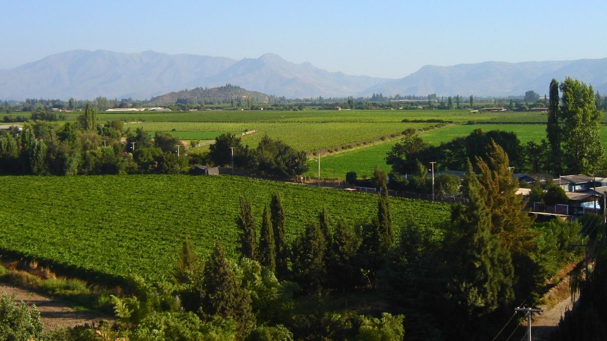 El pueblo tiene la típica costa chilena.