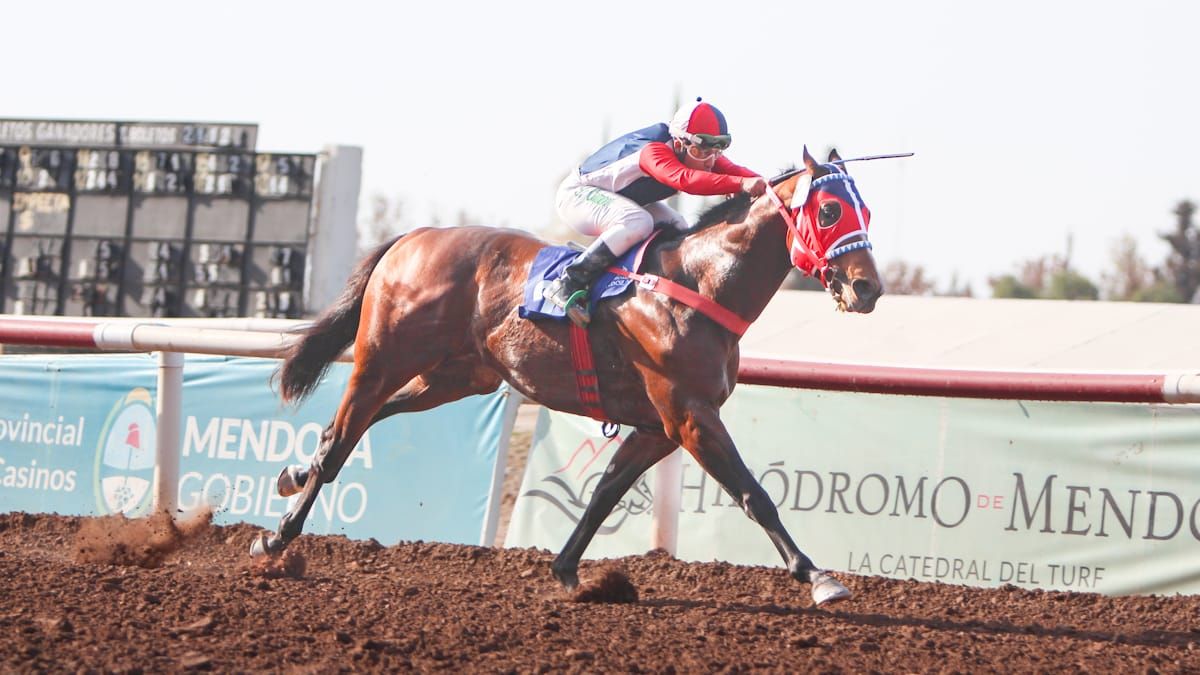 Ethical Cleric, con la monta de Facundo Campos llega al disco para ganar la 7ª carrera de este domingo, el Premio Florencia Aldana Giménez. Ethical Cleric, con la monta de Facundo Campos llega al disco para ganar la 7ª carrera de este domingo, el Premio Florencia Aldana Giménez.