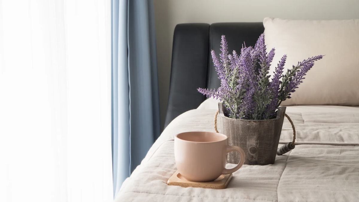 Descubre los beneficios de la lavanda en tu habitación. Descubre los beneficios de la lavanda en tu habitación.