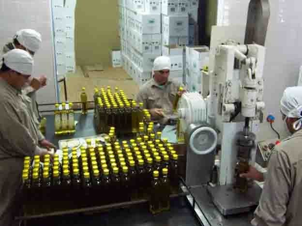 Piden que el Instituto Nacional de Vitivinicultura también fiscalice al aceite de oliva