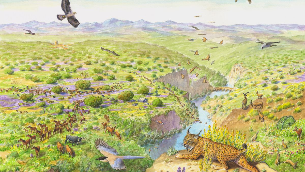 La Fundación Rewilding Europe plantea un escenario ideal para cada país, en donde todos los animales nativos conviven de manera salvaje en su hábitat natural. La Fundación Rewilding Europe plantea un escenario ideal para cada país, en donde todos los animales nativos conviven de manera salvaje en su hábitat natural.