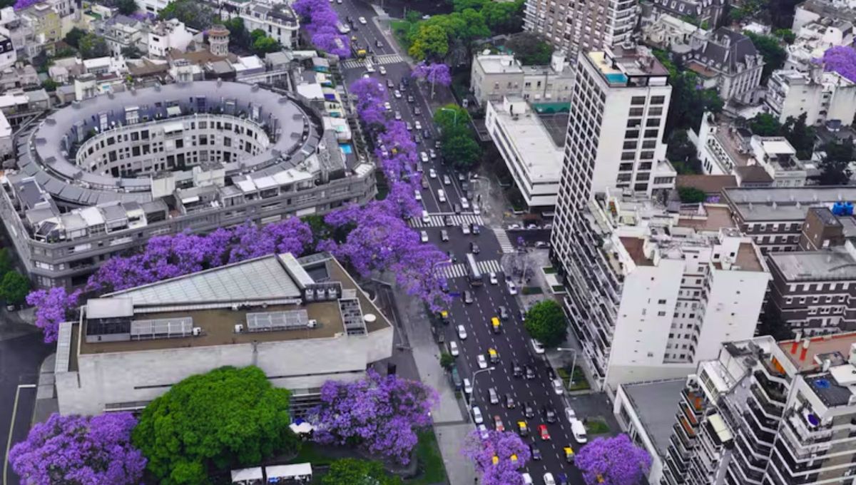 Figueroa Alcorta es una de las avenidas más transitadas, fotografiadas y simbólicas de Buenos Aires. Figueroa Alcorta es una de las avenidas más transitadas, fotografiadas y simbólicas de Buenos Aires.