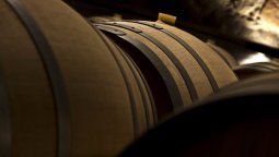 El 75% de los vinos orgánicos argentinos tiene como destino la Unión Europea