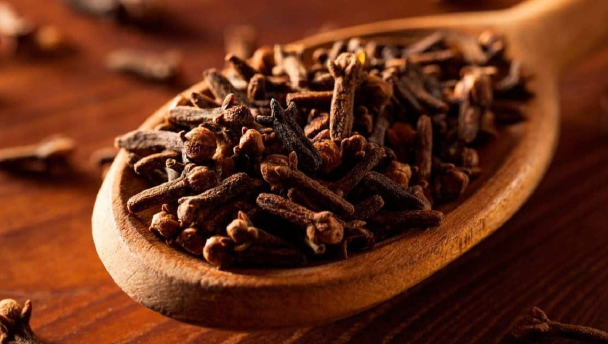 Que significa tener clavos de olor en casa según el Feng Shui