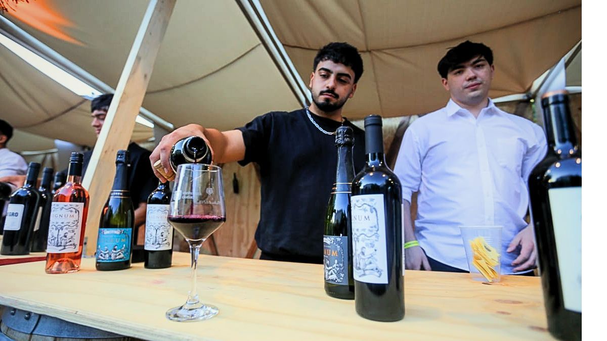 Más de 30 bodegas participaron el Peatonal del Vino Más de 30 bodegas participaron el Peatonal del Vino