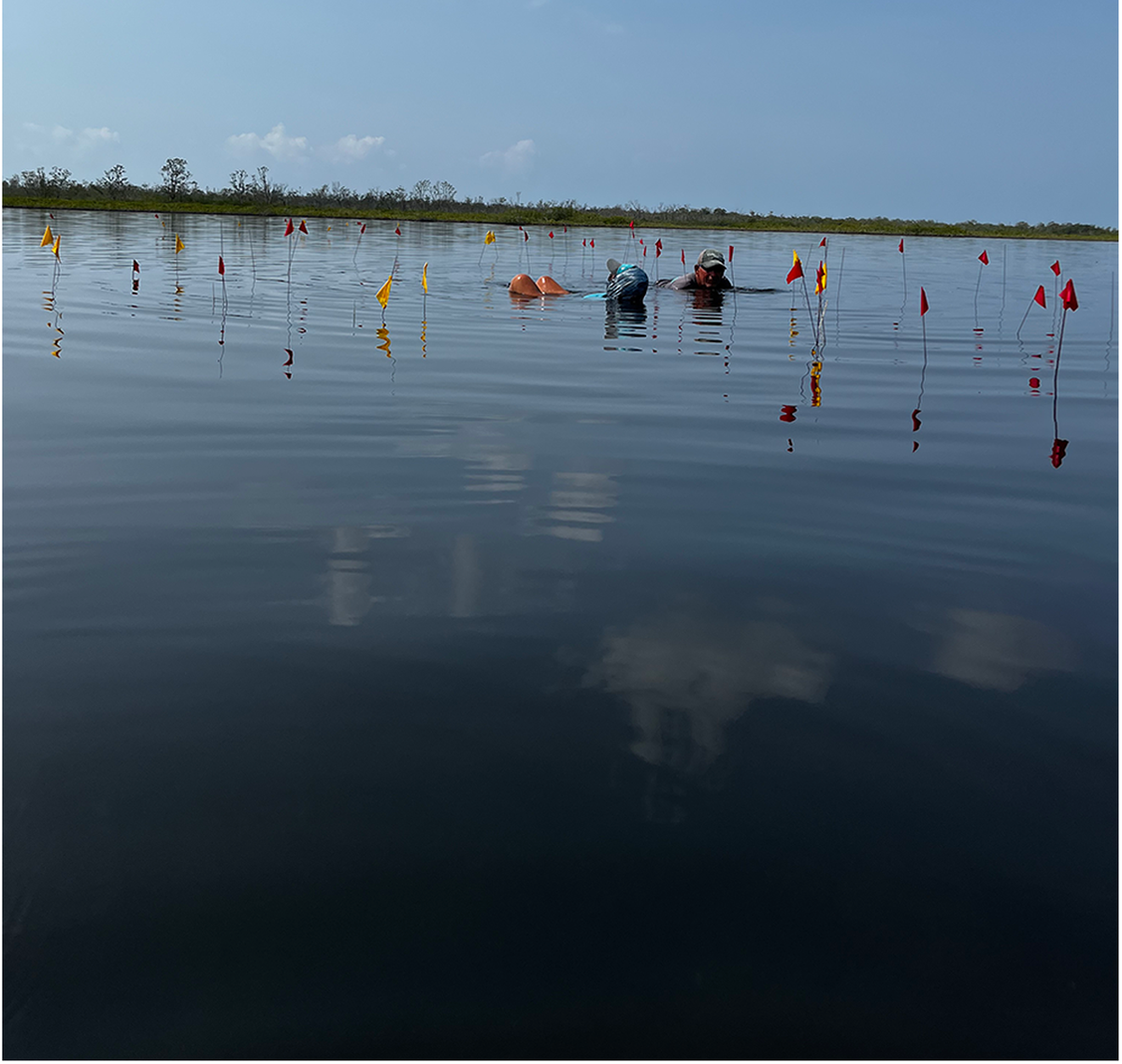 Este asentamiento maya estaba perfectamente conservado. 