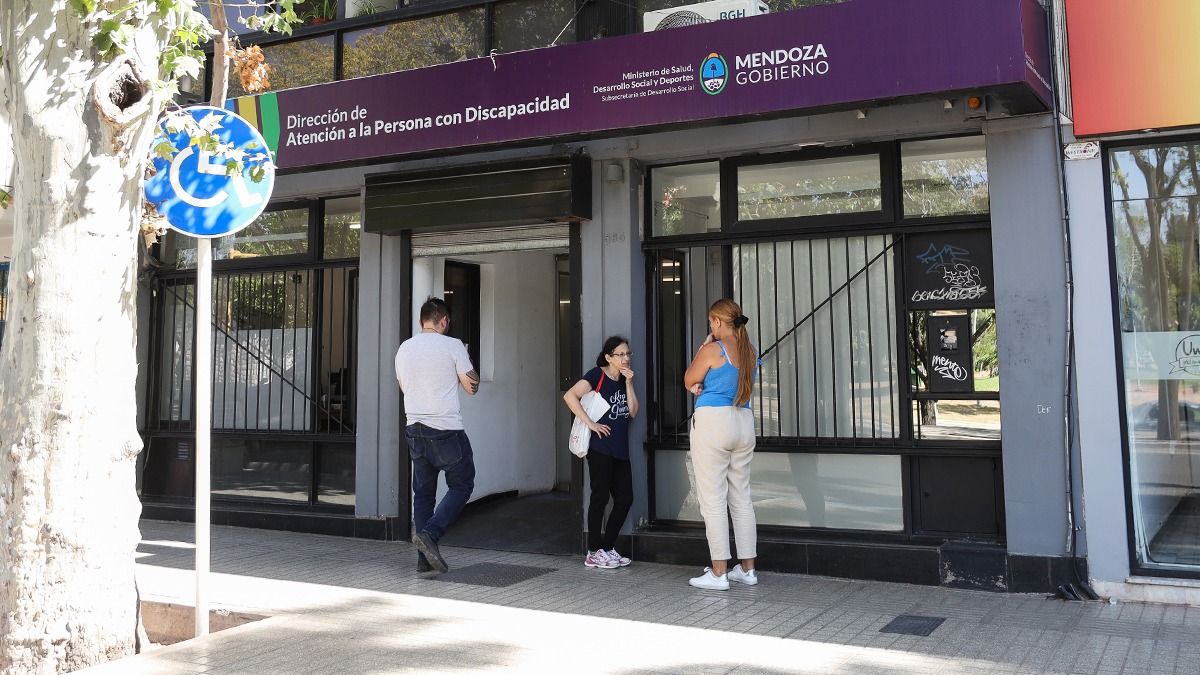 Discapacidad. Discapacidad. 