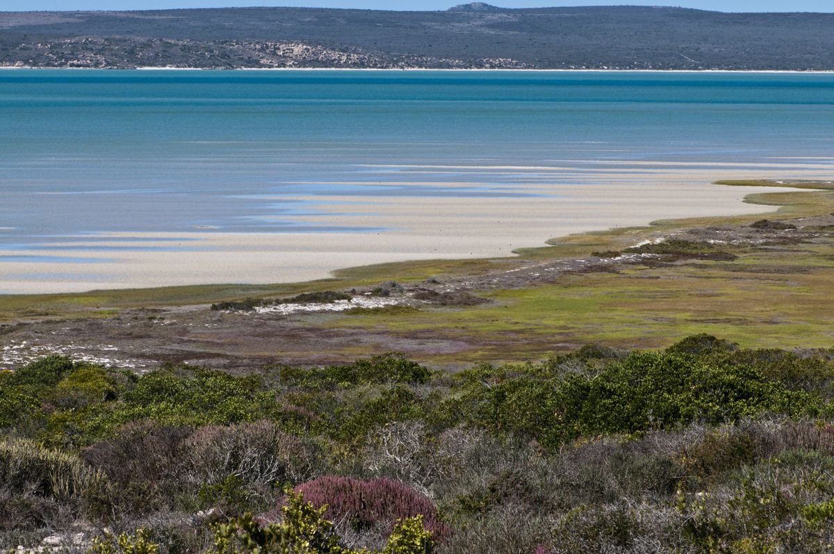 El océano no para de subir, y hay un enorme continente en problemas