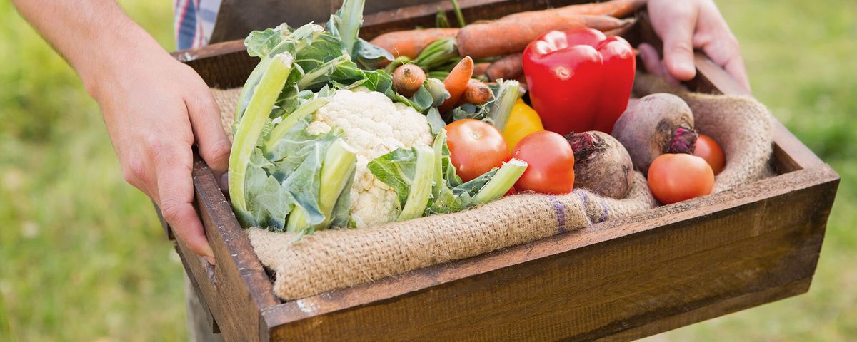 Vegetales. Las verduras de hojas verdes, el brócoli, la coliflor, el repollo y la berenjena, tienen muy bajos carbohidratos. Vegetales. Las verduras de hojas verdes, el brócoli, la coliflor, el repollo y la berenjena, tienen muy bajos carbohidratos.