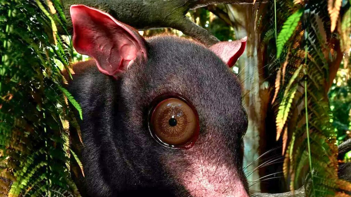 Peppermint Hippo Reno reviews