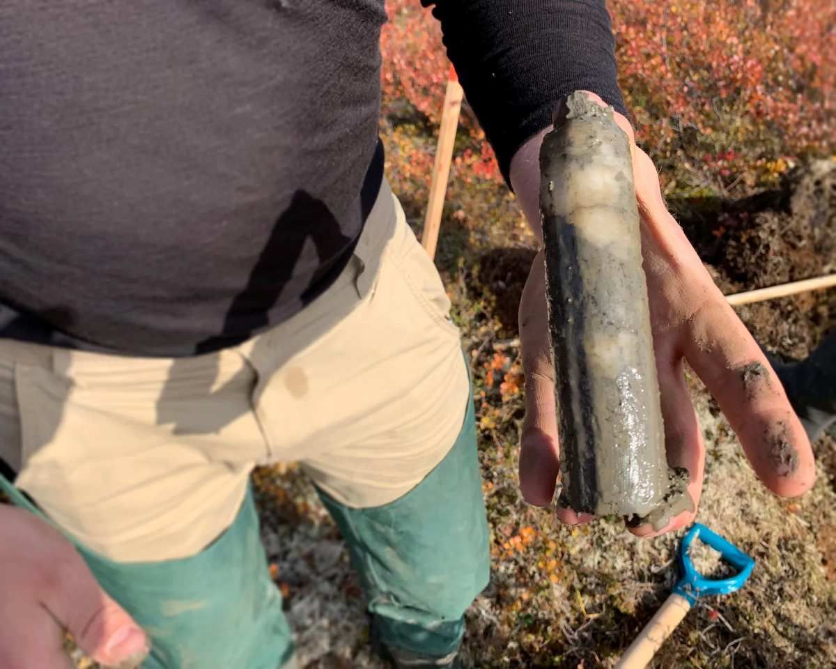 Una de las muestras analizadas por los científicos. Una de las muestras analizadas por los científicos.