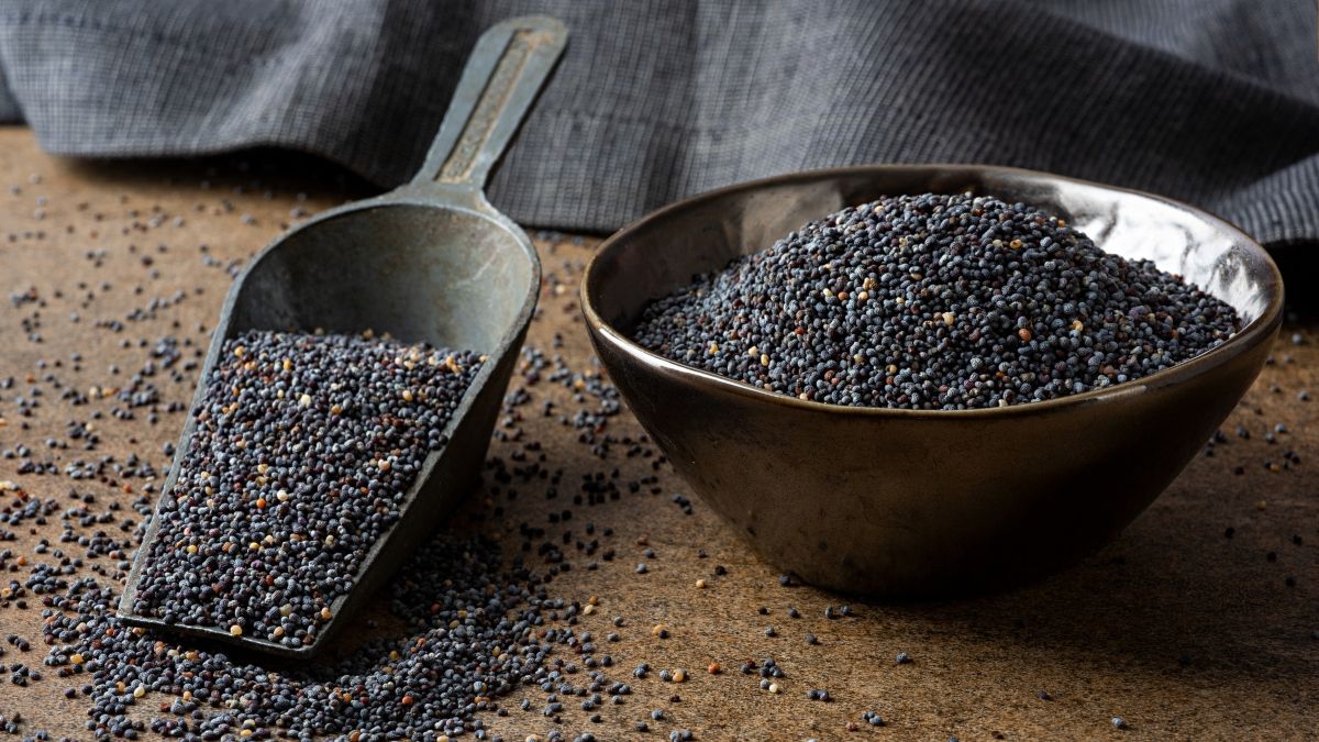 Las semillas de amapola son ricas en fibra, grasas vegetales insaturadas y varios micronutrientes. Las semillas de amapola son ricas en fibra, grasas vegetales insaturadas y varios micronutrientes.