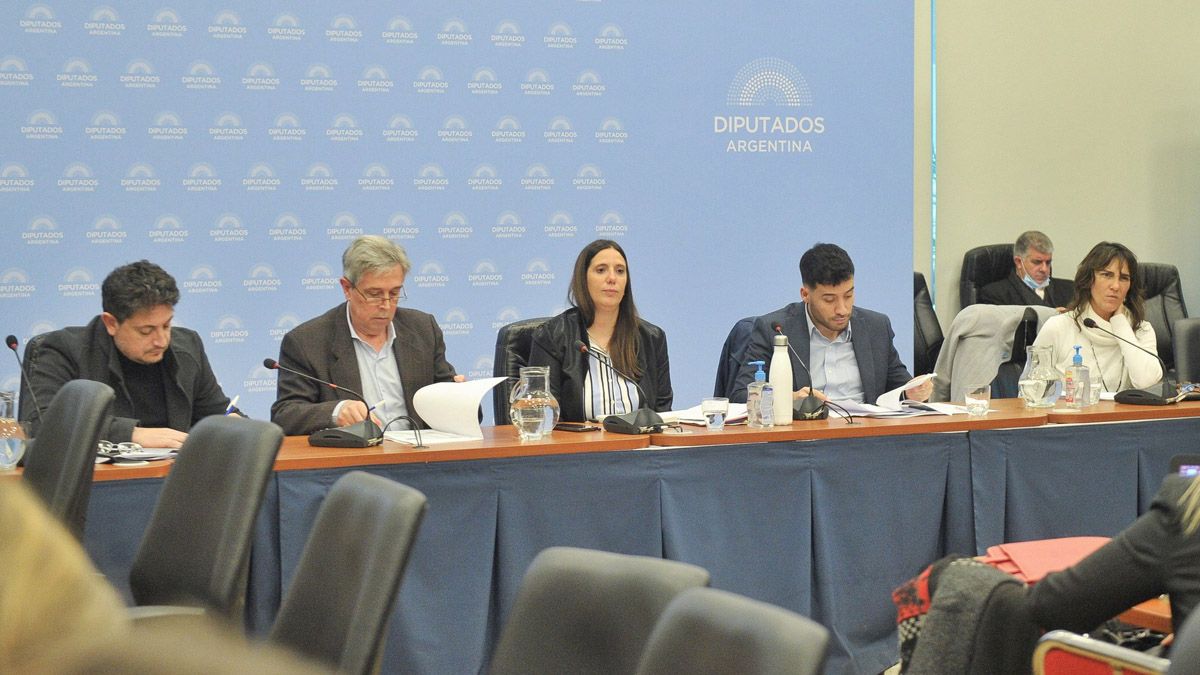 En Diputados ya comenzaron con el análisis del proyecto de moratoria en la comisión que preside Marisa Uceda.