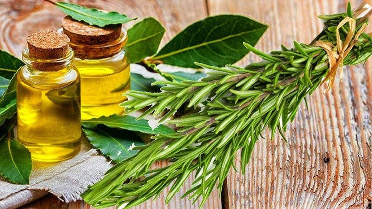 Adultos mayores: la mezcla de pocos ingredientes que es ideal para combatir várices Adultos mayores: la mezcla de pocos ingredientes que es ideal para combatir várices