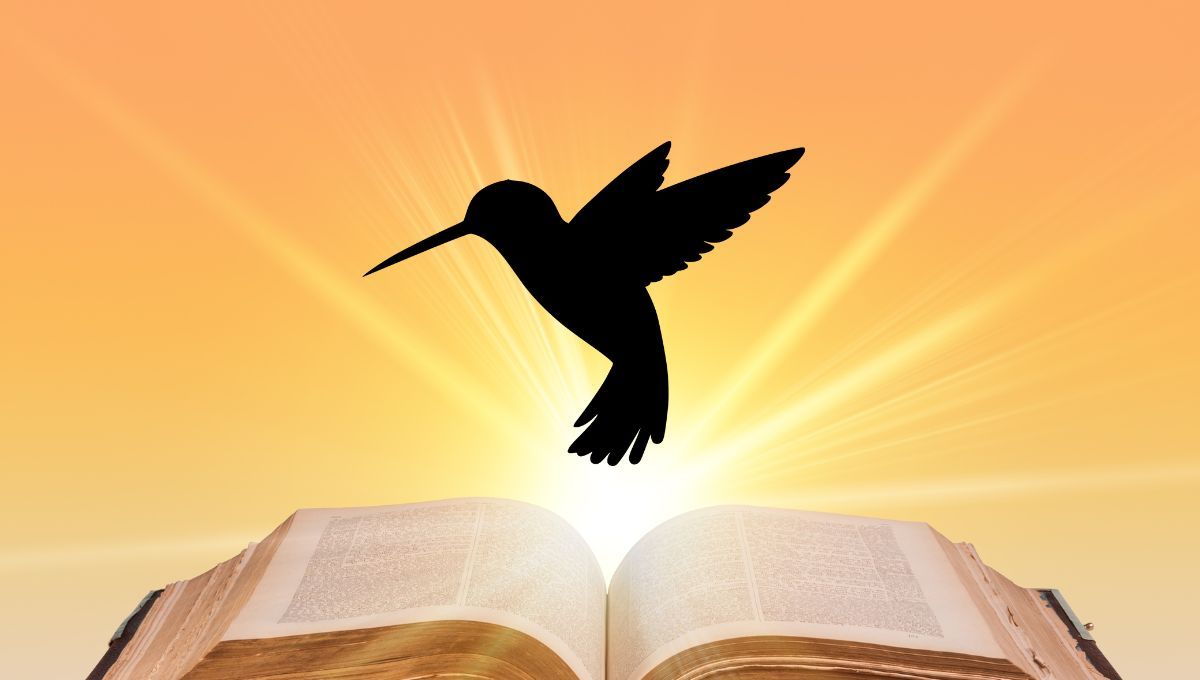 Qué es y qué significa un colibri para la Biblia