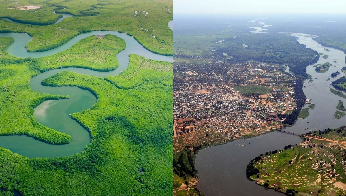 Río Nilo o Amazonas: científicos confirman cuál es el más largo del mundo y finalizan debate histórico