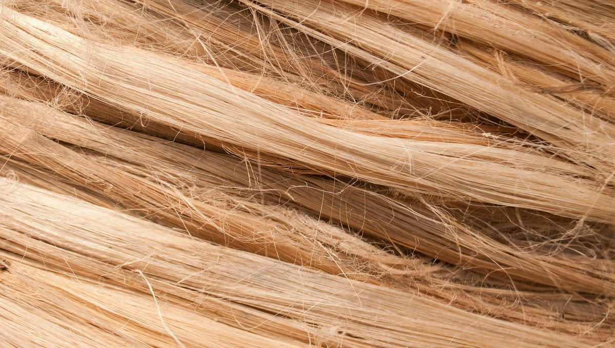 Estos son los hábitos que debes evitar para no dañar tu pelo.&nbsp;