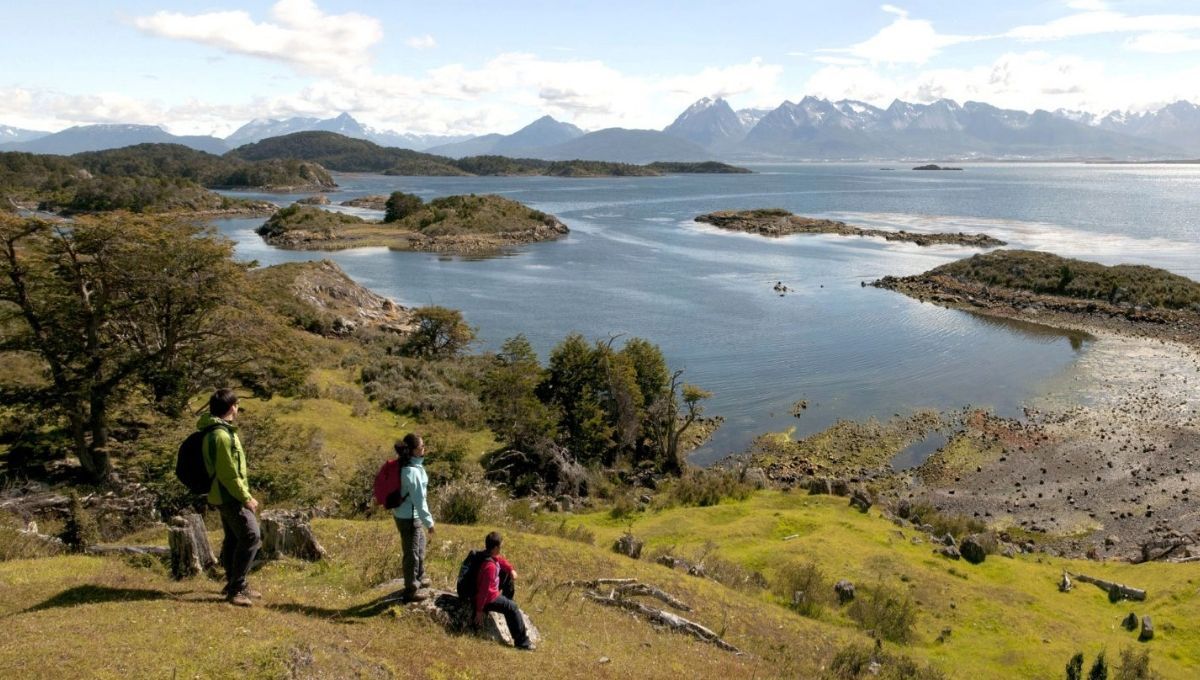 ¿Qué Parques Nacionales de Chile tienen ingreso GRATUITO?