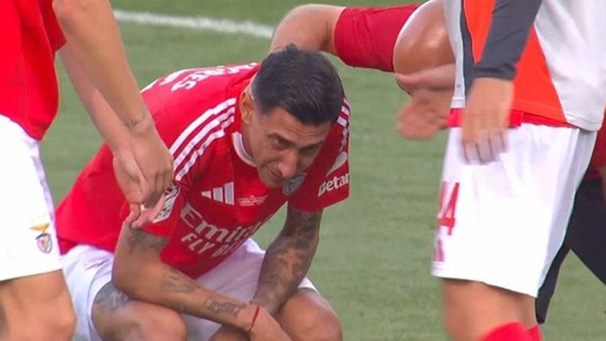 Fideo, desconsolado.