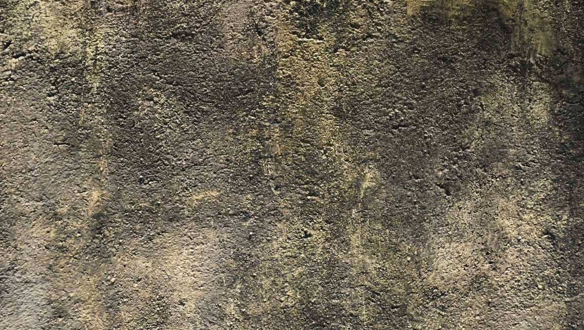 El vinagre se utiliza en casa para limpiar el sarro, eliminar malos olores de la heladera y sacar la grasa de las sartenes El vinagre se utiliza en casa para limpiar el sarro, eliminar malos olores de la heladera y sacar la grasa de las sartenes 