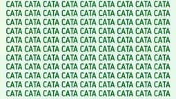 Solo las personas inteligentes encuentran la palabra CAPA en 5 segundos