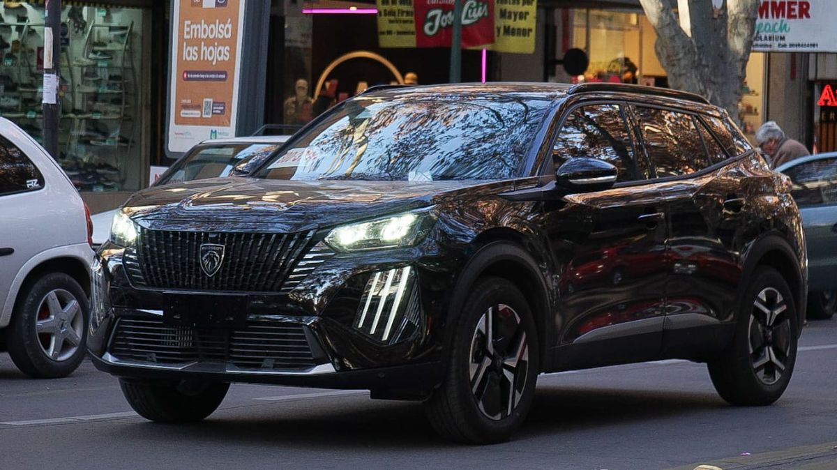En su mayoría son autos nuevos los que esperan por patente, pero también los hay usados que, por alguna razón, la perdieron. En su mayoría son autos nuevos los que esperan por patente, pero también los hay usados que, por alguna razón, la perdieron.
