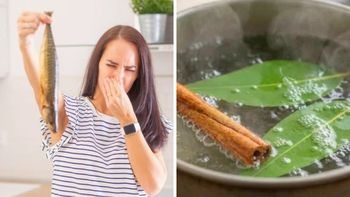 Cómo eliminar los malos olores en la cocina con eucalipto o canela y azúcar