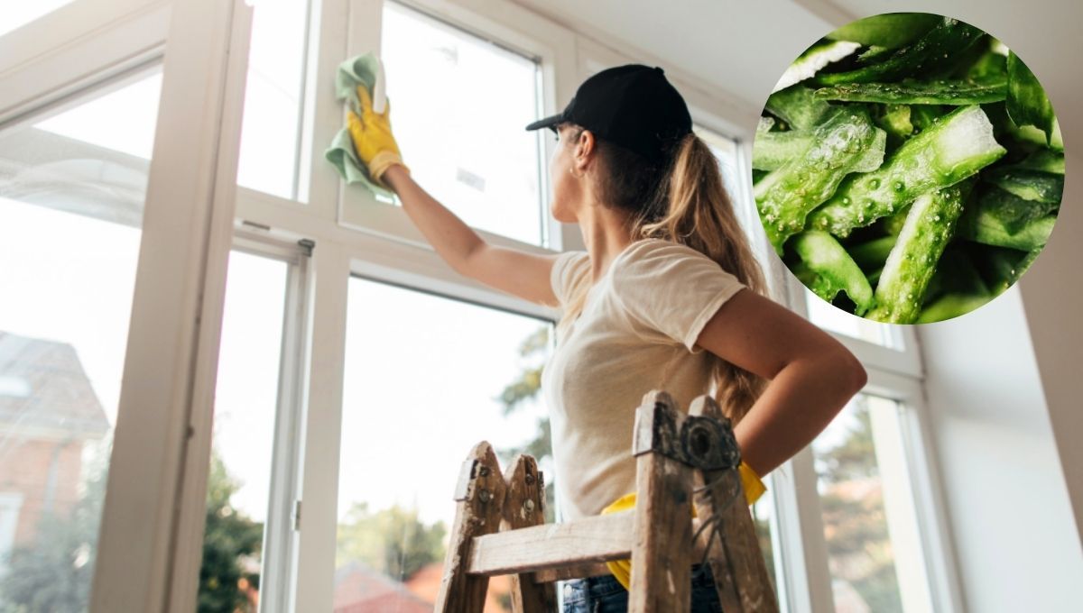La cáscara de pepino puede ser utilizada en las ventanas de tu casa.