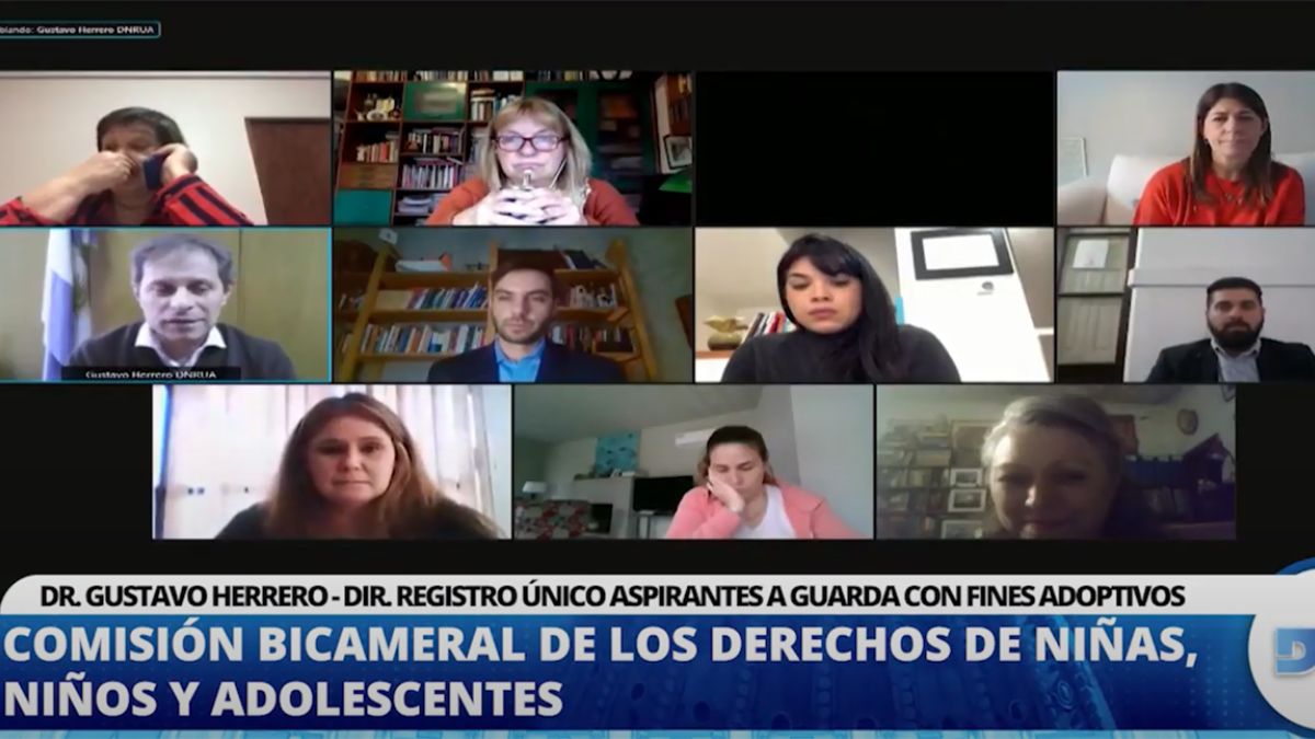 Diputados participaron de una reunión sobre los procesos y registros de adopción.