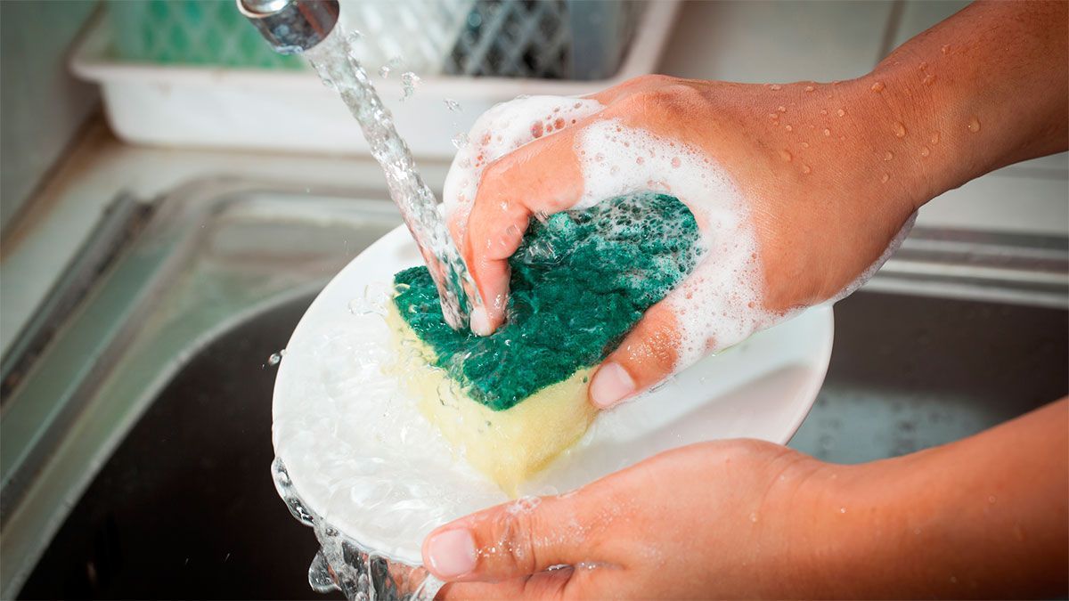 Estudio revela cada cuánto hay que cambiar la esponja de lavar los platos: la respuesta te sorprenderá Estudio revela cada cuánto hay que cambiar la esponja de lavar los platos: la respuesta te sorprenderá