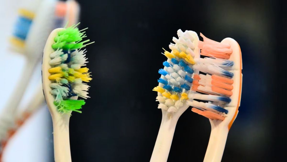 Tu cepillo de dientes debe ser desinfectado con frecuencia