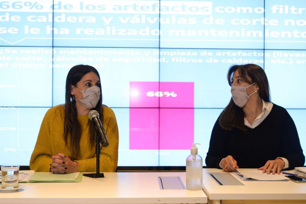 Legisladoras del PJ cuestionaron el estado 