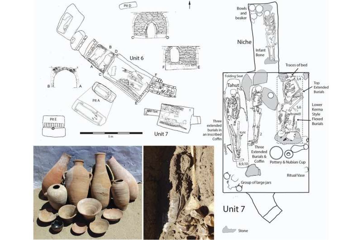 El descubrimiento sorprendió a los arqueólogos. El descubrimiento sorprendió a los arqueólogos.