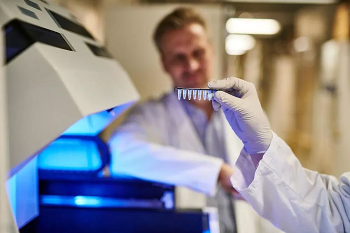 Un estudio respondió a un interrogante muy grande.