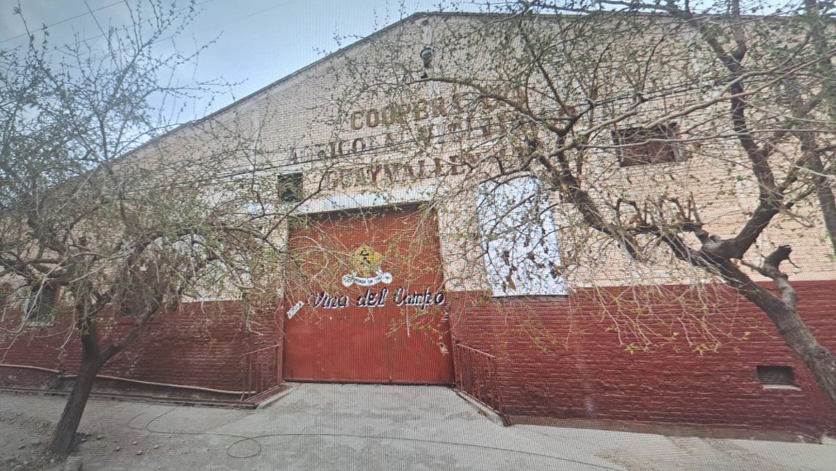 La bodega abandonada en Guaymallén que será llevada a remate judicial este viernes. La bodega abandonada en Guaymallén que será llevada a remate judicial este viernes.